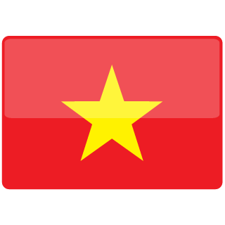 VIETMAXX's emblem