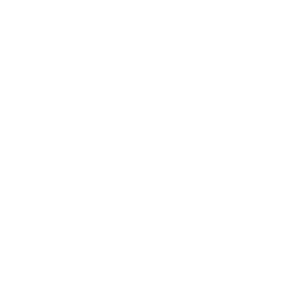 Fischer_rus's emblem