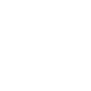 synthesiz's emblem