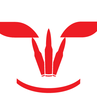 New2This2's emblem
