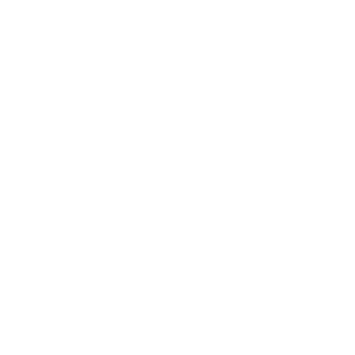 srone291's emblem