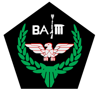 Brianfart1989's emblem