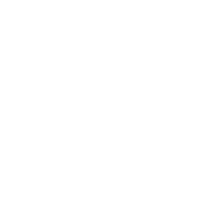 WOLFARCH's emblem
