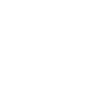 13NormiFist13's emblem