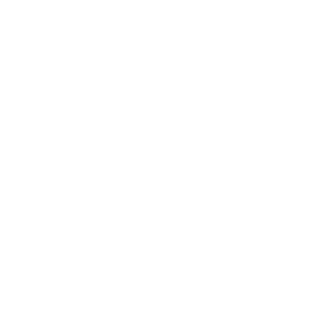 zebraflash's emblem