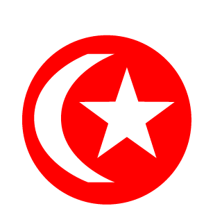 disguiiser's emblem