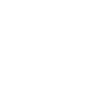 RMLowley's emblem