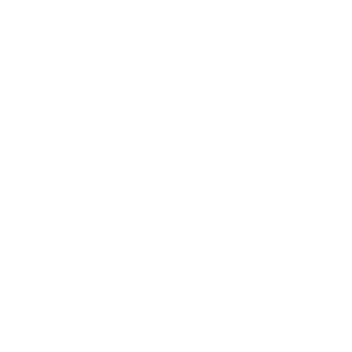 58Renegade's emblem