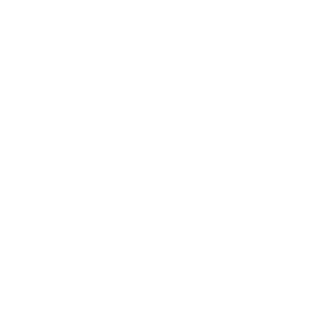 Belolipeckiy's emblem