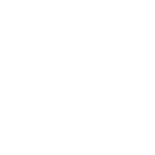 SturdySpoon67's emblem