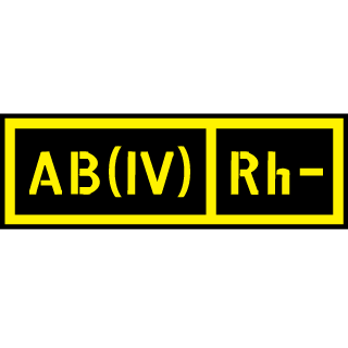 BANDllT's emblem