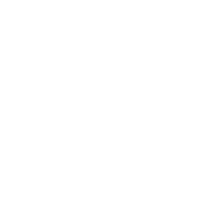 45b4879a90757b31's emblem