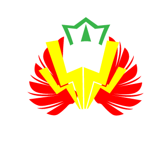 Diego0097's emblem