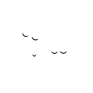 urtle the turtl's emblem