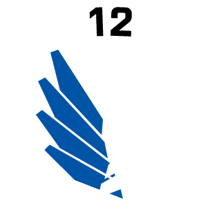 nettydrillo's emblem