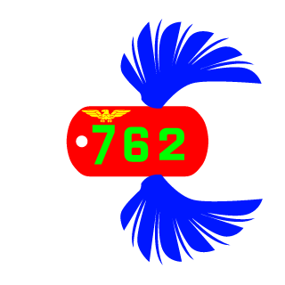 1TENferreira762's emblem