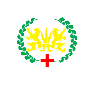 solman720's emblem