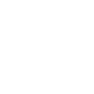 BOGDANIAN102's emblem