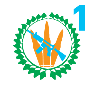 StylaOne's emblem