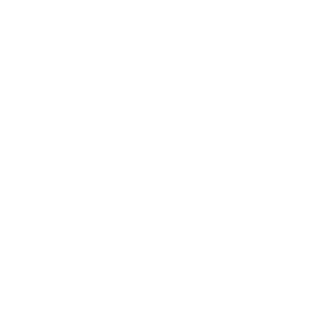 -LRicardOO-'s emblem