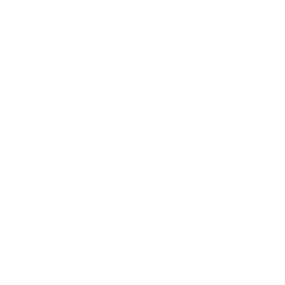 SABUR51RUS's emblem