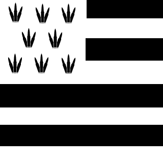 breizzz35's emblem