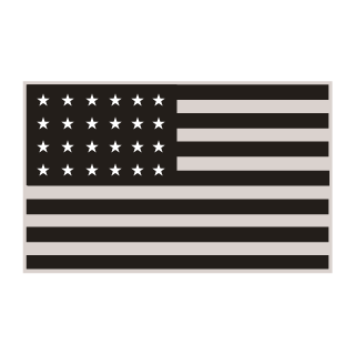 USA's emblem