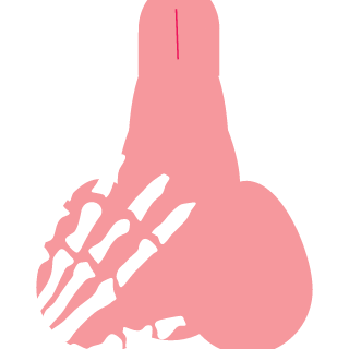 H4rlequin's emblem