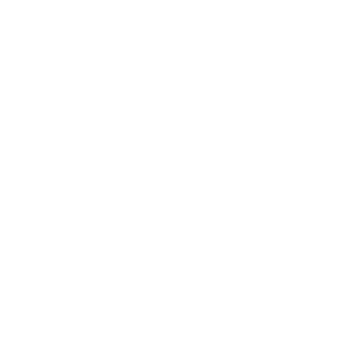 Sneik_Solid's emblem