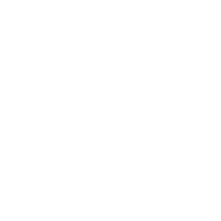 Ru-Hayabusa's emblem