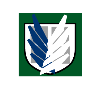 SuperSnowBalls's emblem