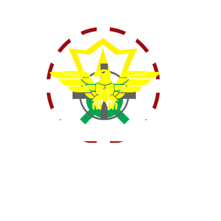 wtddemonvolk's emblem