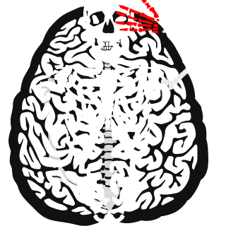 479Ok's emblem