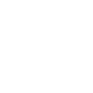 DazikZ's emblem