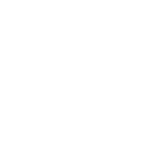 420VZ58SVK's emblem