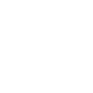 Dev0nix's emblem