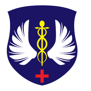 IAlximiKI's emblem