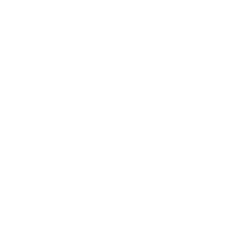 cap1a1n's emblem