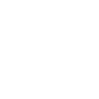 N3CedeMalis's emblem