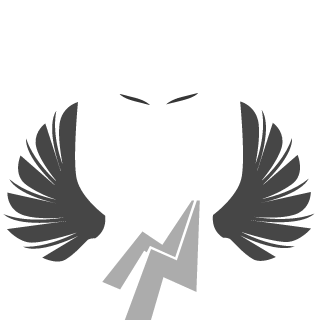 FlyRay07's emblem