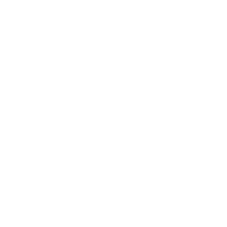 Hacke21's emblem