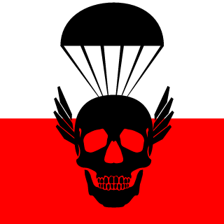 Czerwa96_PL's emblem