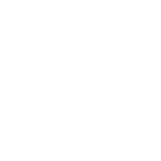 Charli3T's emblem