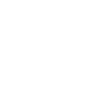 nexus_pegasus's emblem