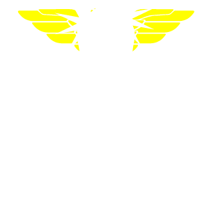 70Turino351's emblem