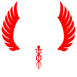 dpmwar's emblem