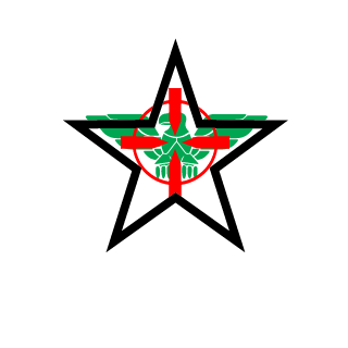 91Awesome07's emblem