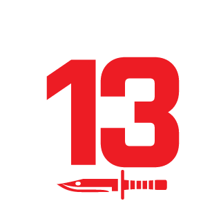Spark113's emblem