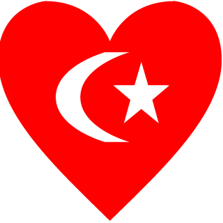 AKINARSLAN06's emblem
