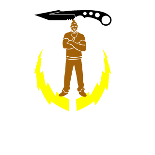 13HooDiNi37's emblem